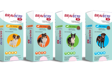 Cargar imagen en el visor de la galería, Bravecto 1M Comprimido Masticable para Perros OFERTA 40% DE DESCUENTO!!! (DESCUENTO SE APLICA AL FINAL DE LA COMPRA)
