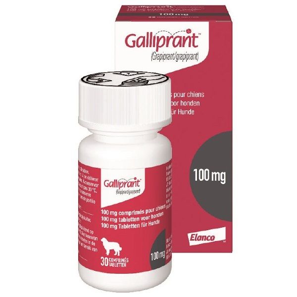 GALLIPRANT 100mg x 30 comprimidos (VENTA SOLO CON RECETA MEDICO VETERINARIA)