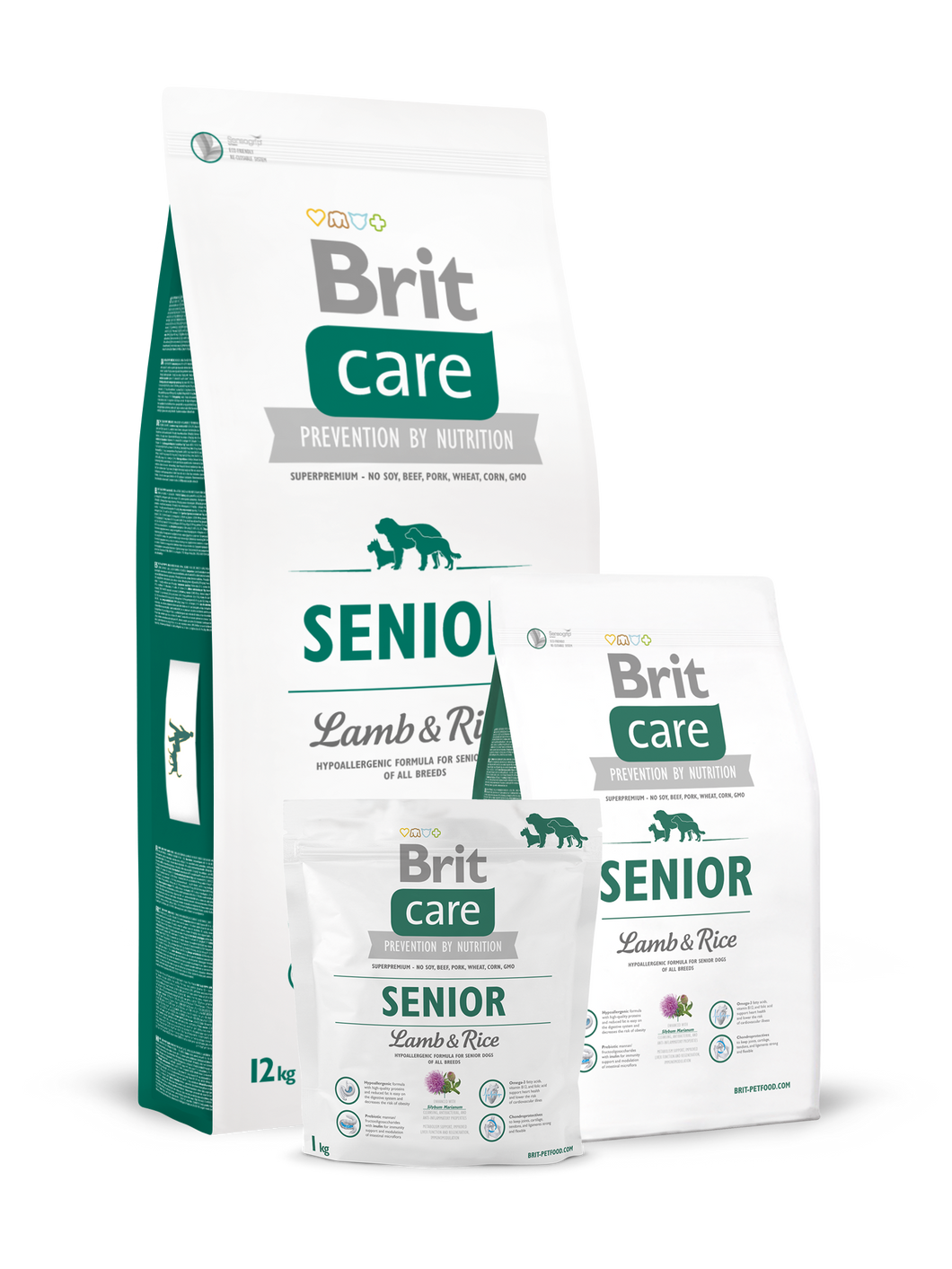Brit Senior (Cordero y Arroz)