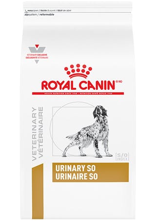 Royal Canin Urinary S/O Canino